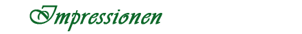 Gartengestaltung Dangel